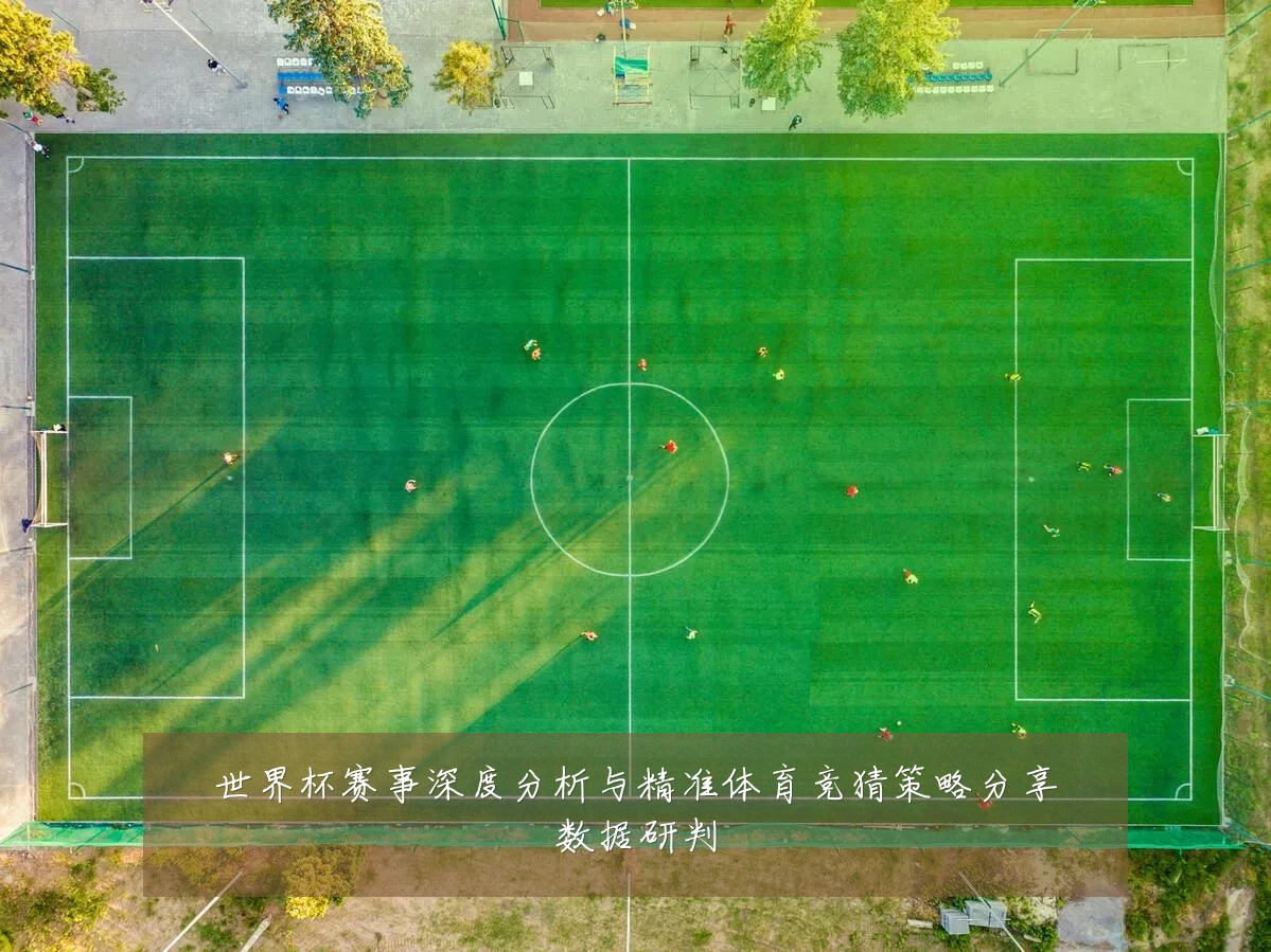 世界杯赛事深度分析与精准体育竞猜策略分享数据研判