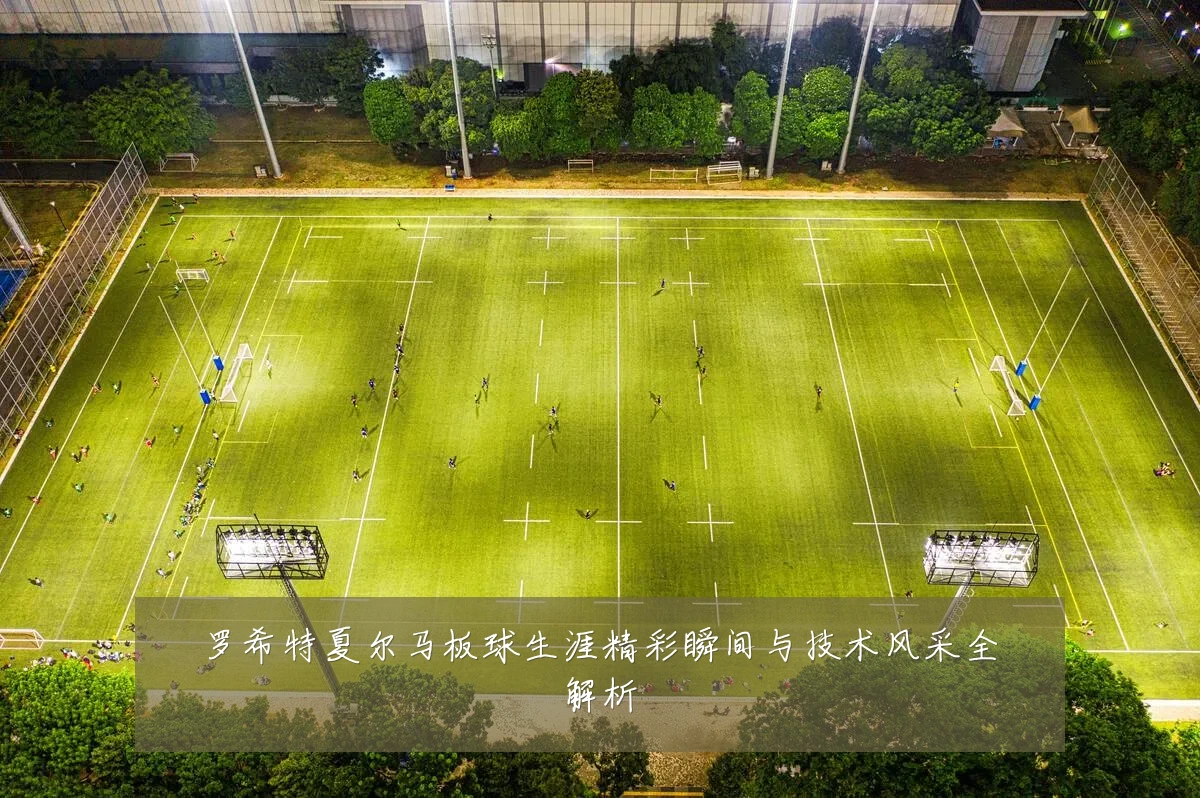 罗希特夏尔马板球生涯精彩瞬间与技术风采全解析